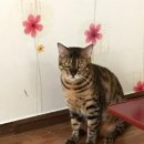 비전빌딩 이미지