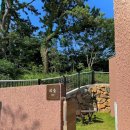 스테이 댕댕 이미지