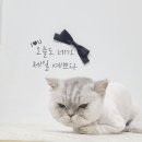 동원 미용실 - 사하구 다대동 | 동원 미용실