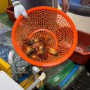 당진 여행 삼길포 수산물 직매장 &amp; 노상 후기