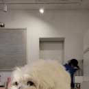 예히세라믹스 이미지