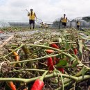 병암2리 이미지