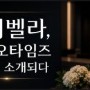 미용뷰티 병원 채용 플랫폼 미미벨라, 인스타그램 메디컬뉴스룸 소개