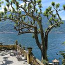 탑노블레스결혼정보 | 노블레스 결정사 후기 자세히 보면