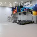 폴라리스 동물의료센터 이미지