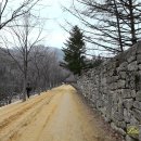 영남대로 이미지