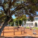 카페1441 이미지