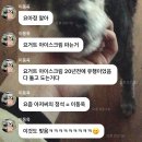 이동욱이 생각하는 요아정 뜻 이미지