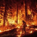 미로월드 이미지