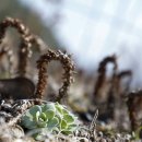 구암농장 이미지