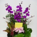 일흥꽃집 이미지