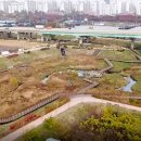 대장천생태하천 이미지