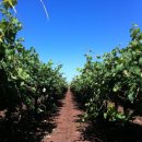 승환농장 네이버블로그