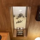 태림시술원 | 춘천명동카페 메종드조양 (춘천신상카페)