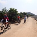 진리태양광발전소 이미지