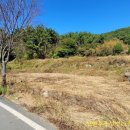 구산면484 네이버블로그