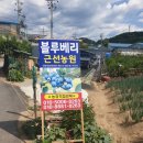 근선농장 네이버블로그