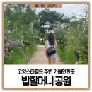 고양밥할머니공원 | 고양시 역사를 알자! 밥할머니 공원 고양스타필드 주변 가볼만한곳