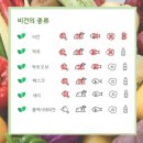 [별별클럽] 비건 혹은 비건을 지향하는 사람들의 모임 | 8월 주간일기 (22.08.08~08.14) #채식주의 #슴콘티켓팅 #클라이밍후기