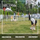 발레나식스 | 울산 애견동반 대형카페 발레나식스 넓은 마당에서 힐링