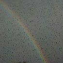 레인[rain]