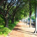 동막역 3번출구 이미지