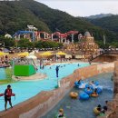 홍천 대명 비발디파크 숙소 호텔 추천 (소노펠리체 소노호텔앤리조트 할인 가격 예약)