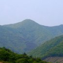 천년가요