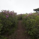 좋은 아침 이미지