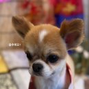 수원-0916 이미지