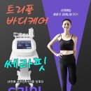 테라메디랩