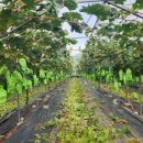 영재농장 이미지