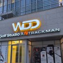 동탄골프레슨 'WDD골프스튜디오' 최진혁 프로님 원포인트레슨 후기