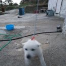 곤우선착장 이미지