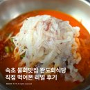 속초식당 | ​속초 물회맛집 완도회식당 내돈내산 추천후기