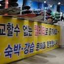 알파방역 | 곤지암렌탈샵 알파스키 체험 후기