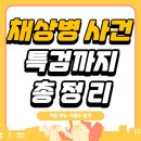 채상병 특검법 총정리 보고가세요~! 이미지