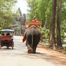 캄보디아 앙코르와트, 패키지보다 자유여행을 추천하는 이미지