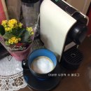 토토다방 이미지