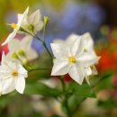 순천세빛중학교 이미지