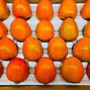 창원농장 이미지