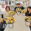 순애꽃방 이미지