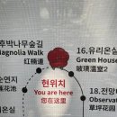 플라워 카페 까멜리아(flower cafe camellia) | [제주여행] 10월 제주도 가볼만한곳 ‘카멜리아힐’ 가을정원 하늘정원 억새밭 핑크뮬리 포토존 셀카...