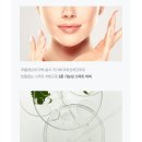 파이온택 이미지