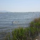 김해농업협동조합주유소 이미지