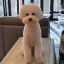 멍`s 이미지