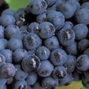 단산마을 이미지