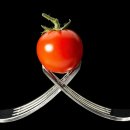 토마토푸드 이미지