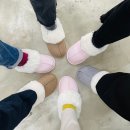 950 이미지