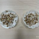 세종시농업기술센터